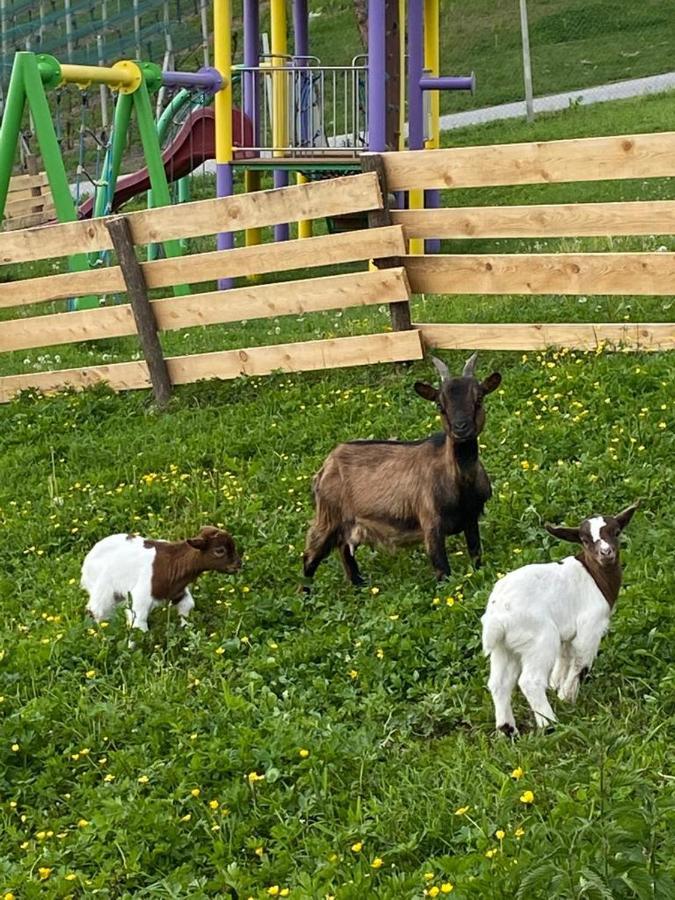 Laura Farm Podčetrtek